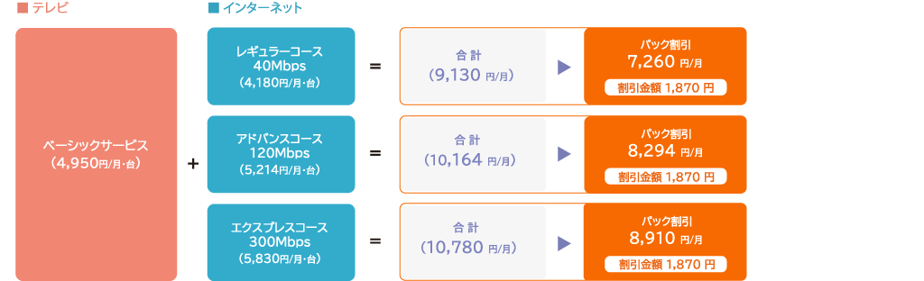 分譲集合住宅 以外　戸建て・団地パック（ベーシックサービス＋インターネット各種）3年契約