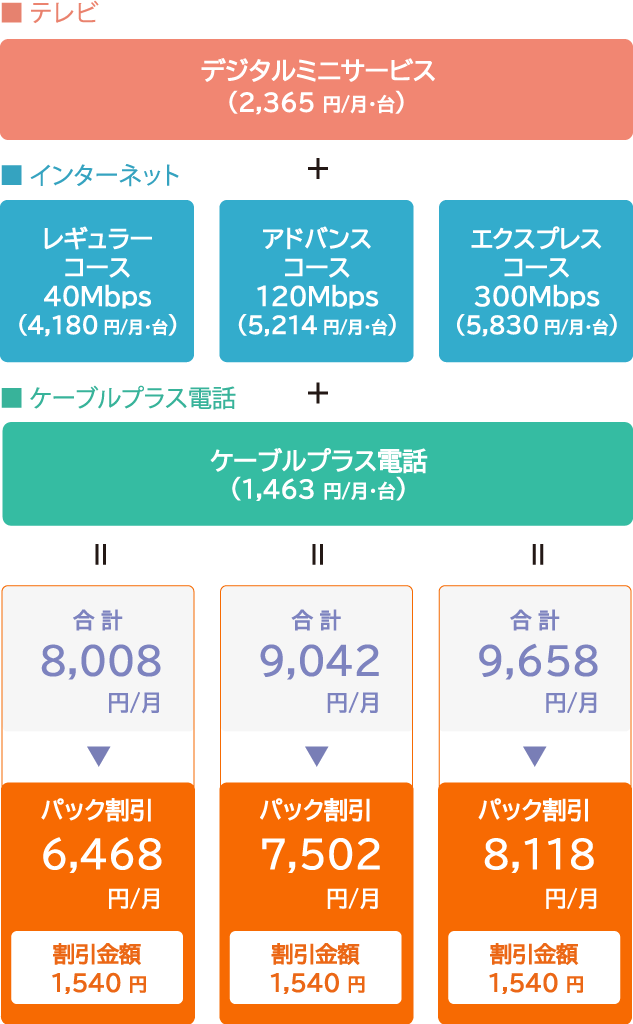 分譲集合住宅 以外　戸建て・団地パック（デジタルミニサービス＋インターネット各種＋ケーブルプラス電話）3年契約