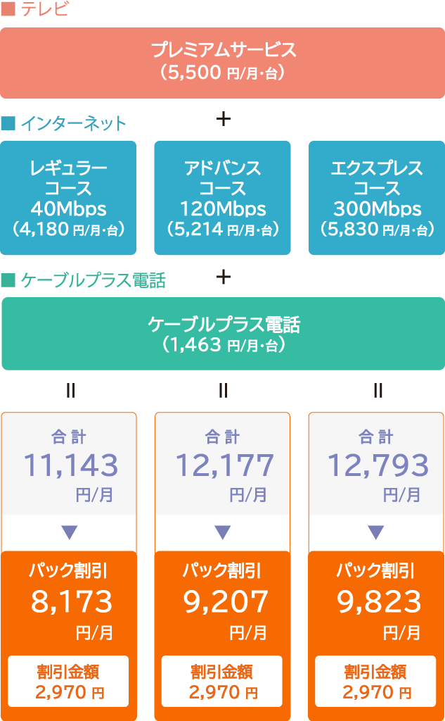 分譲集合住宅 以外　戸建て・団地パック（プレミアムサービス＋インターネット各種＋ケーブルプラス電話）3年契約